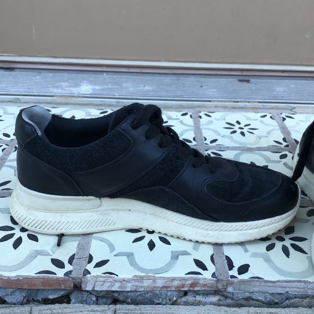 2019 Everlane Sneaker